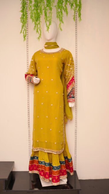 Ladies Fancy Suit 229A